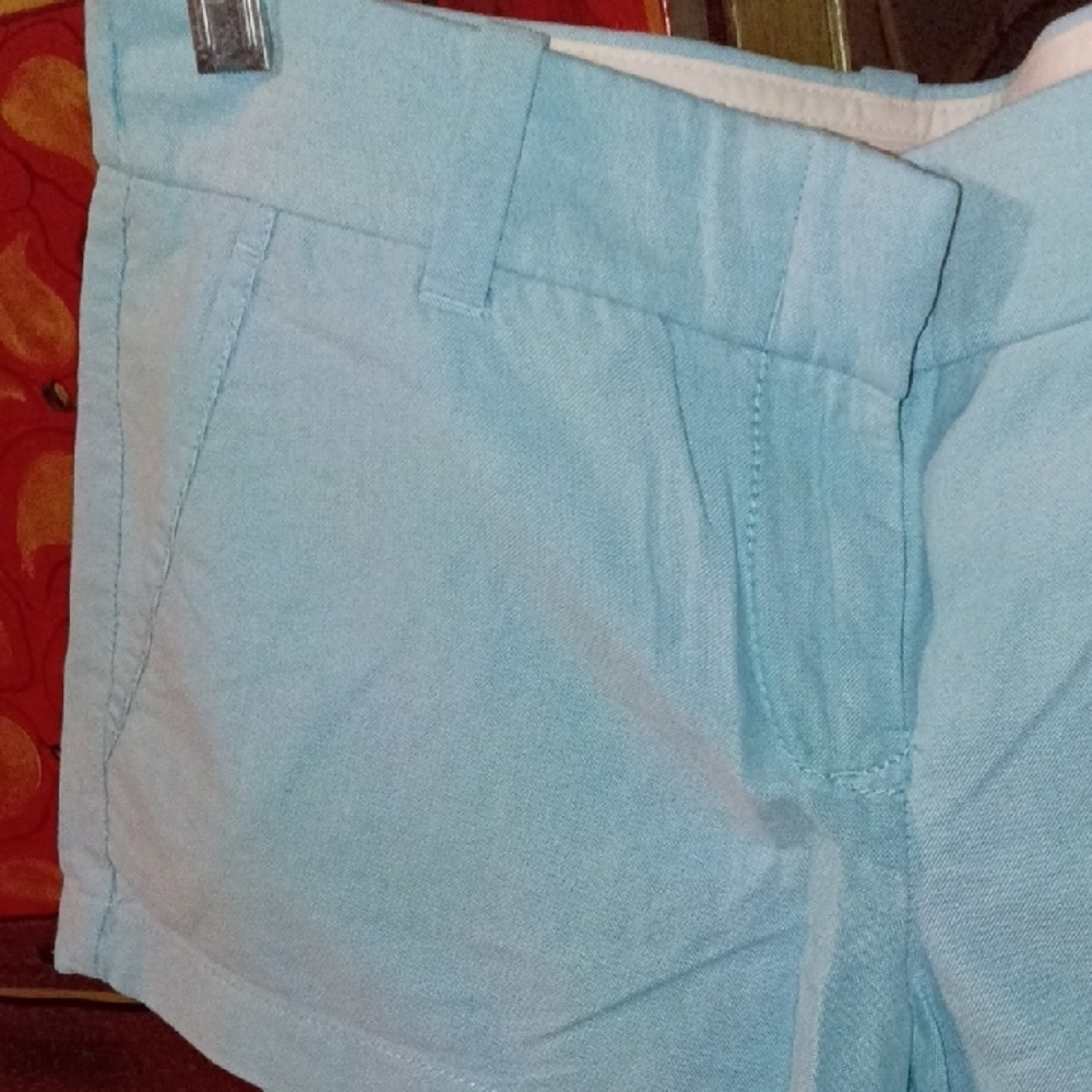 J. Crew Sky Blue Cotton Casual Shorts - Picture 4 of 5